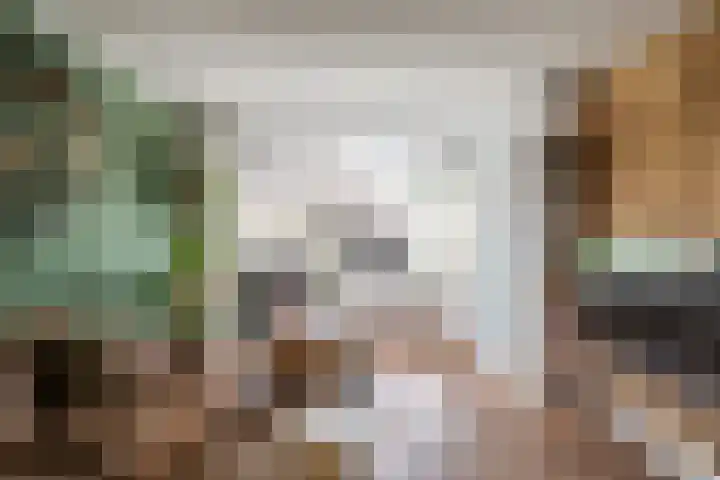 Herman ter Hoentelaan 29 Losser thumbnail 10