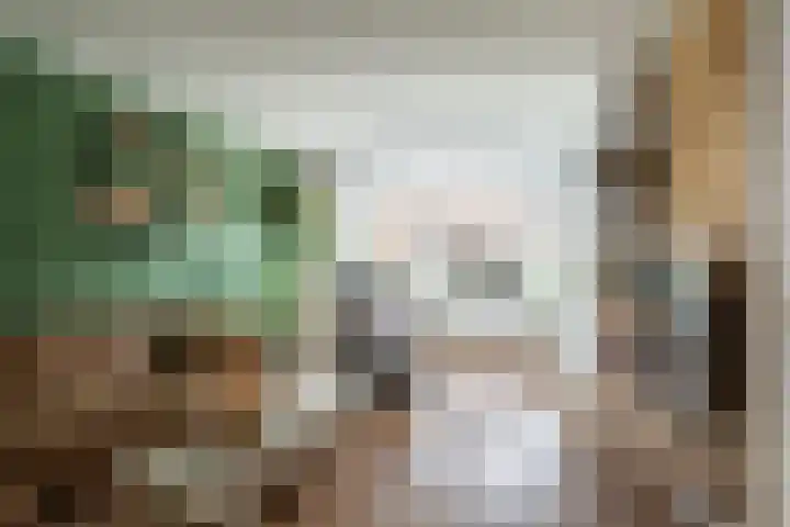 Herman ter Hoentelaan 29 Losser thumbnail 11