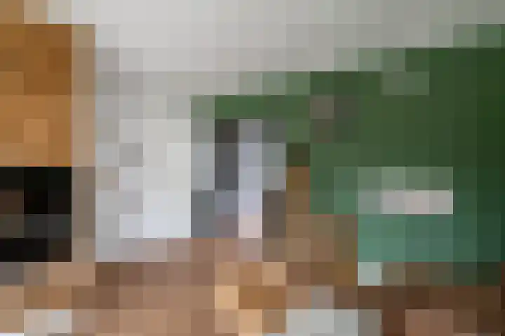 Herman ter Hoentelaan 29 Losser thumbnail 13
