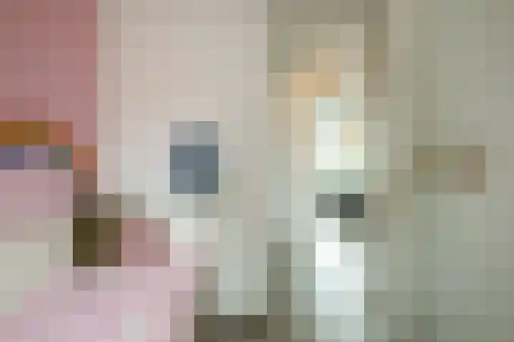 Herman ter Hoentelaan 29 Losser thumbnail 30