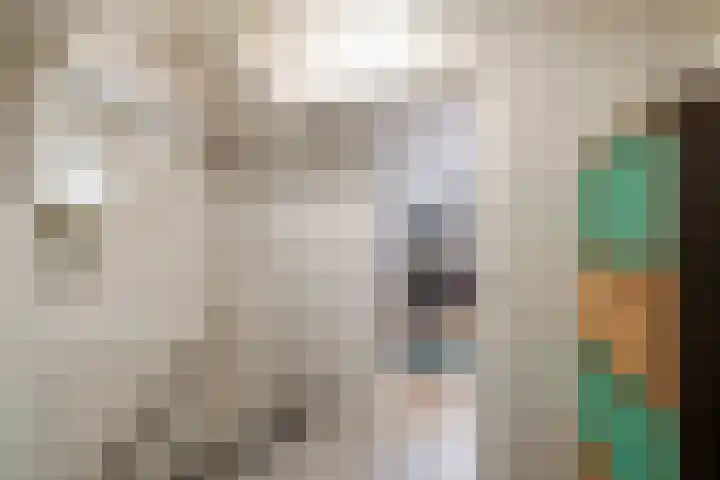 Herman ter Hoentelaan 29 Losser thumbnail 35