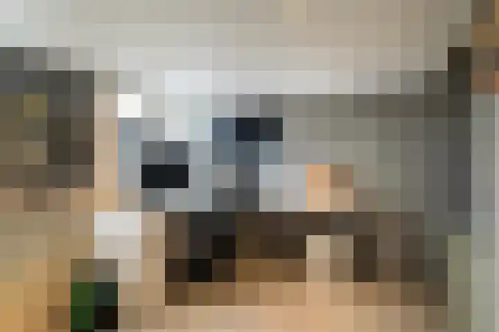 Herman ter Hoentelaan 29 Losser thumbnail 36