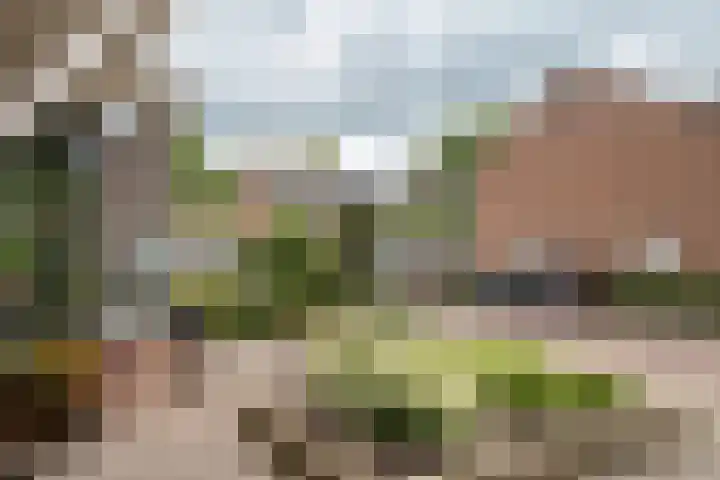 Herman ter Hoentelaan 29 Losser thumbnail 43
