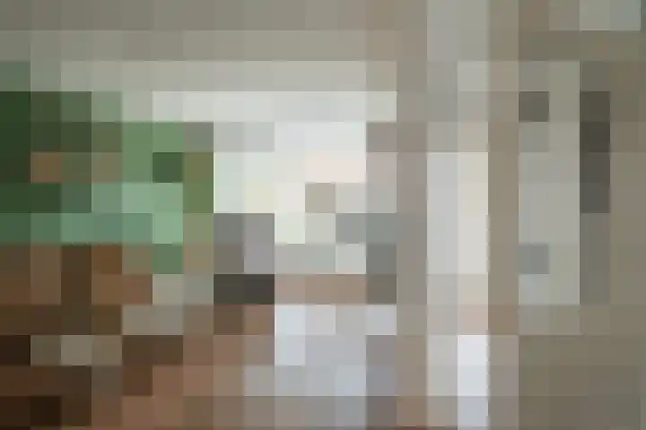 Herman ter Hoentelaan 29 Losser thumbnail 9