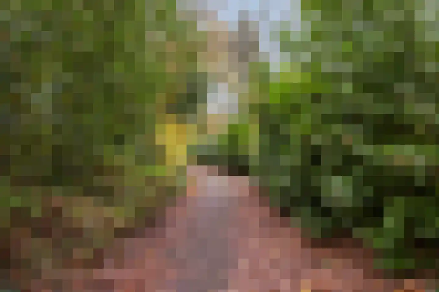 Herman van der Haarstraat 11 Haaksbergen thumbnail 32