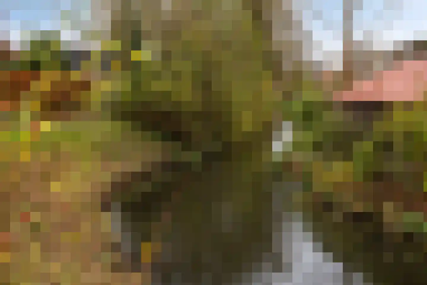 Herman van der Haarstraat 11 Haaksbergen thumbnail 34