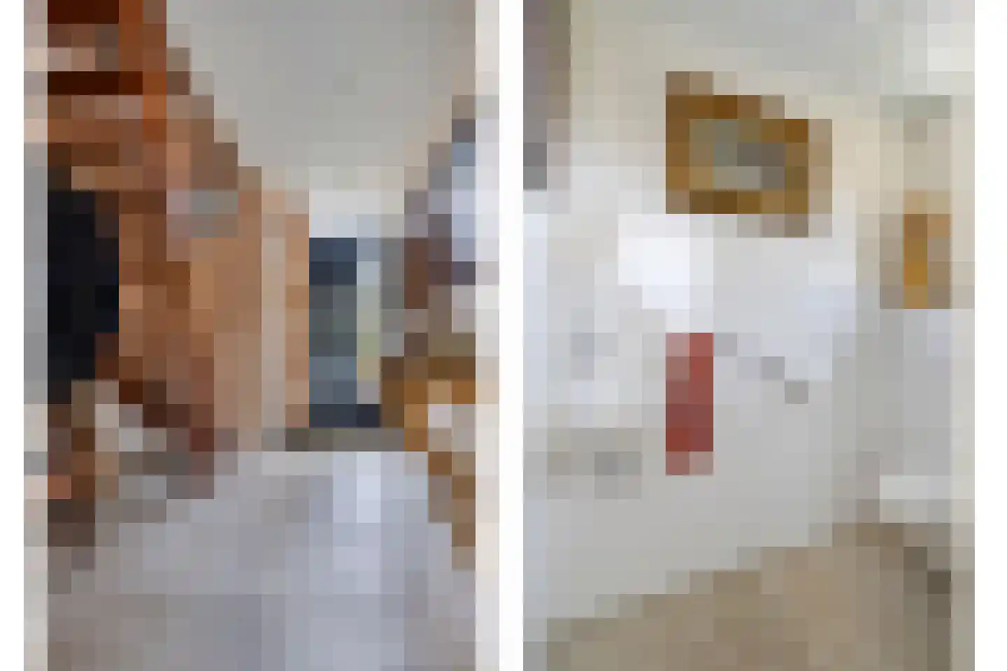 Herman van der Haarstraat 11 Haaksbergen thumbnail 6