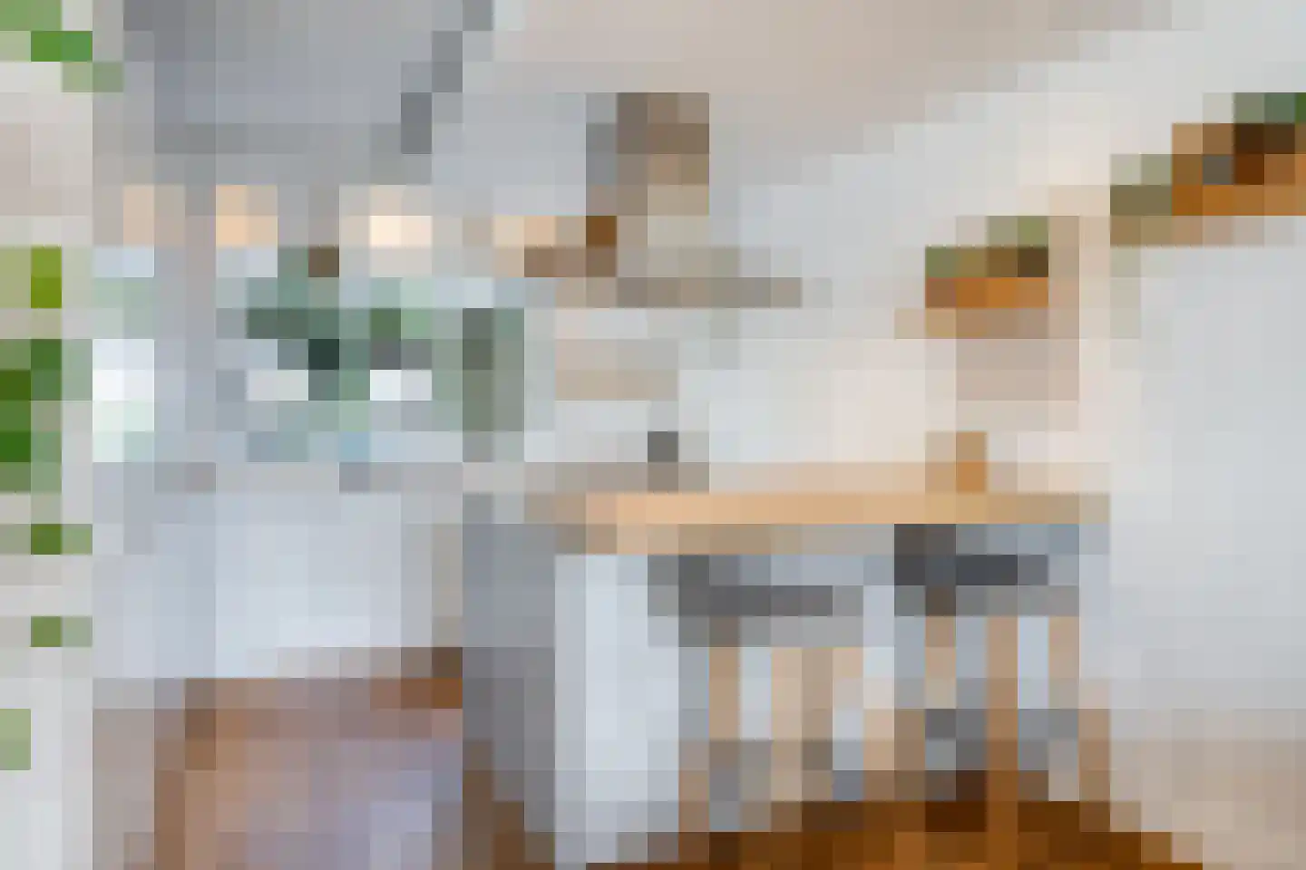 Herman van der Haarstraat 20 Haaksbergen thumbnail 15