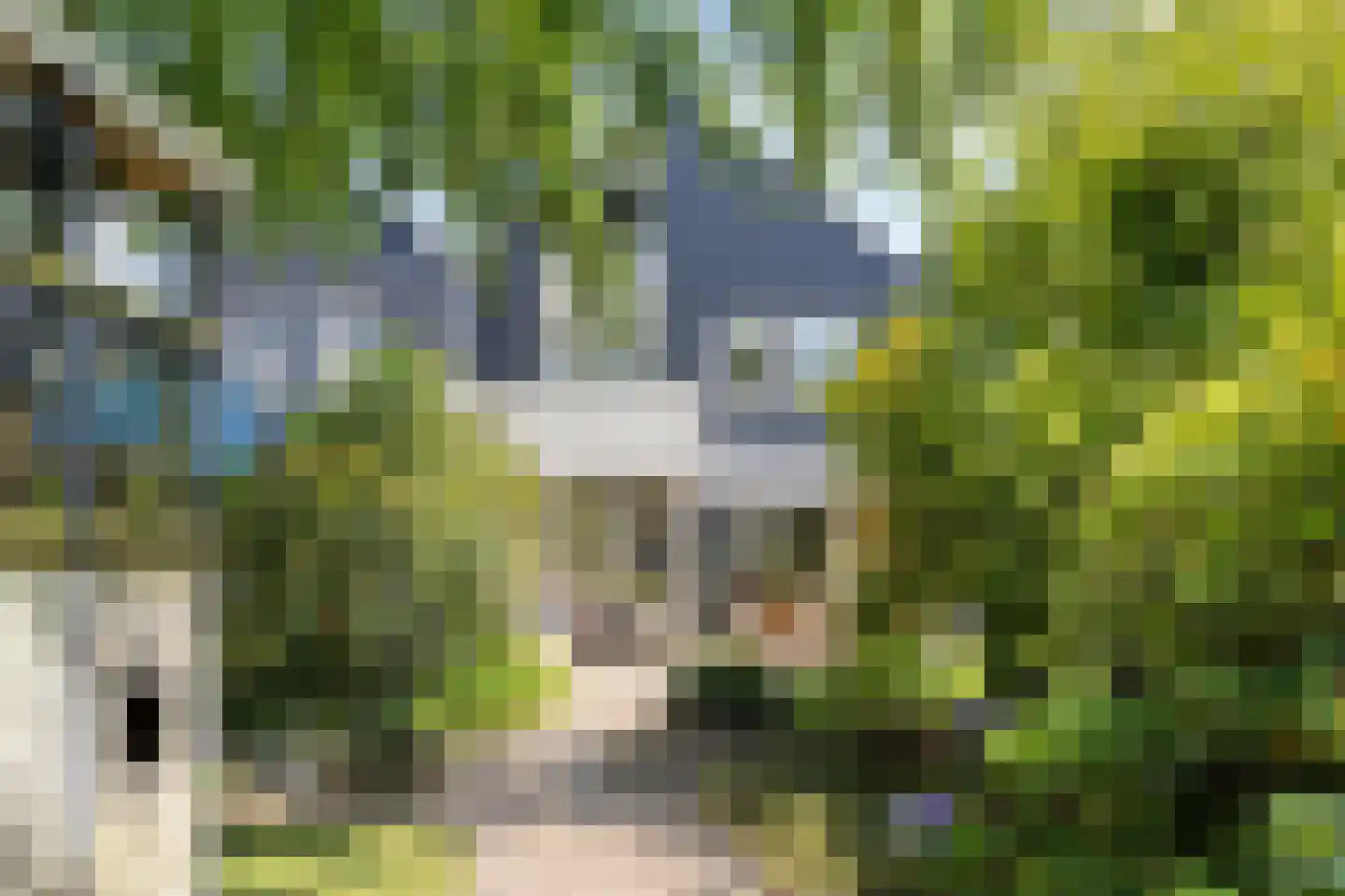Herman van der Haarstraat 20 Haaksbergen thumbnail 33