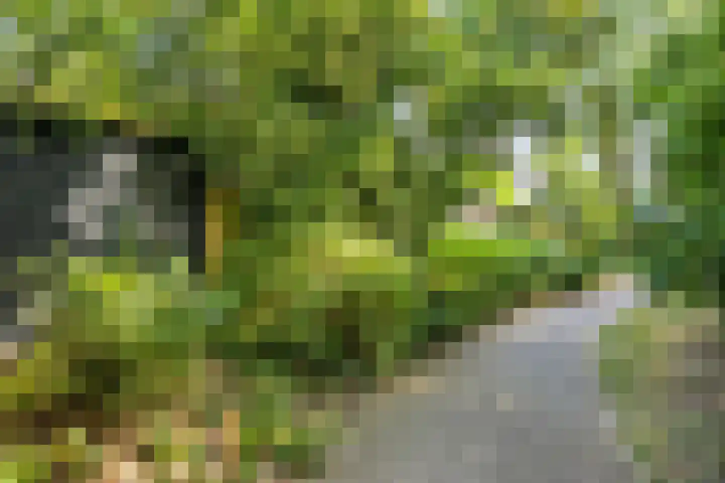 Herman van der Haarstraat 20 Haaksbergen thumbnail 38