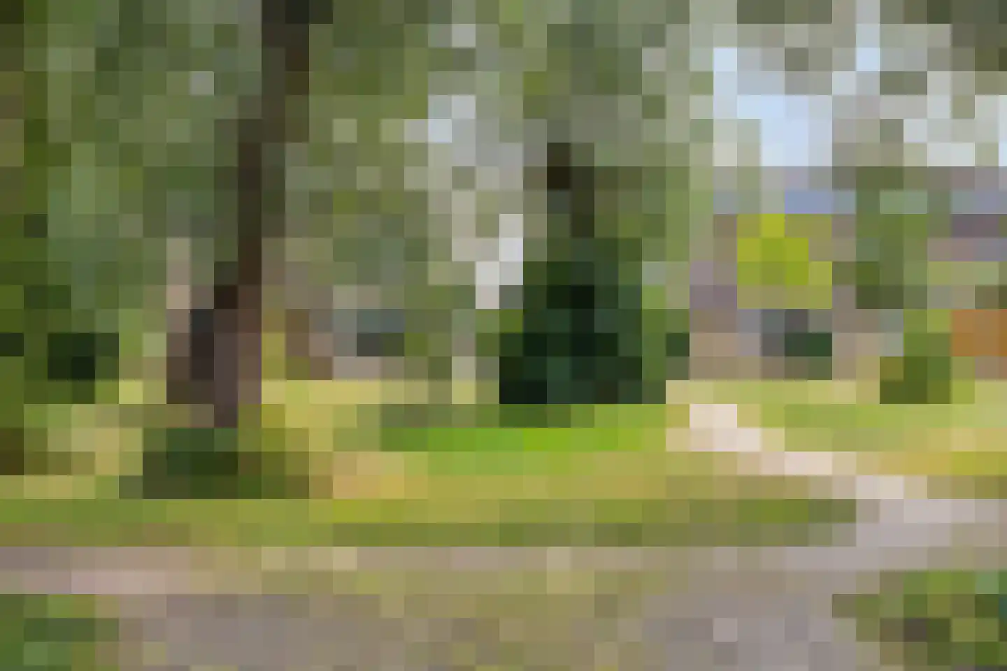 Herman van der Haarstraat 20 Haaksbergen thumbnail 39