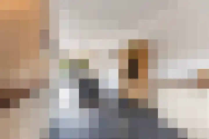 Herman van der Haarstraat 65 Haaksbergen thumbnail 17