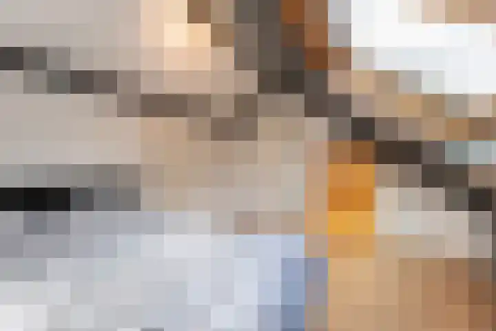 Herman van der Haarstraat 65 Haaksbergen thumbnail 42