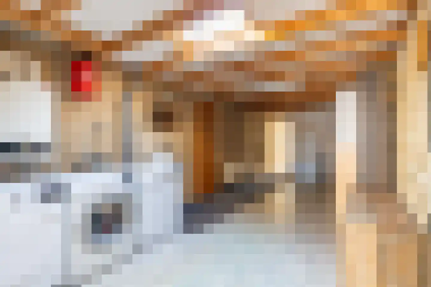 Herman van Halterenstraat 12 Lichtenvoorde thumbnail 11