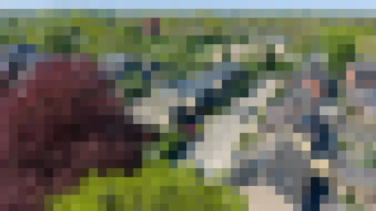 Herman van Halterenstraat 12 Lichtenvoorde thumbnail 32