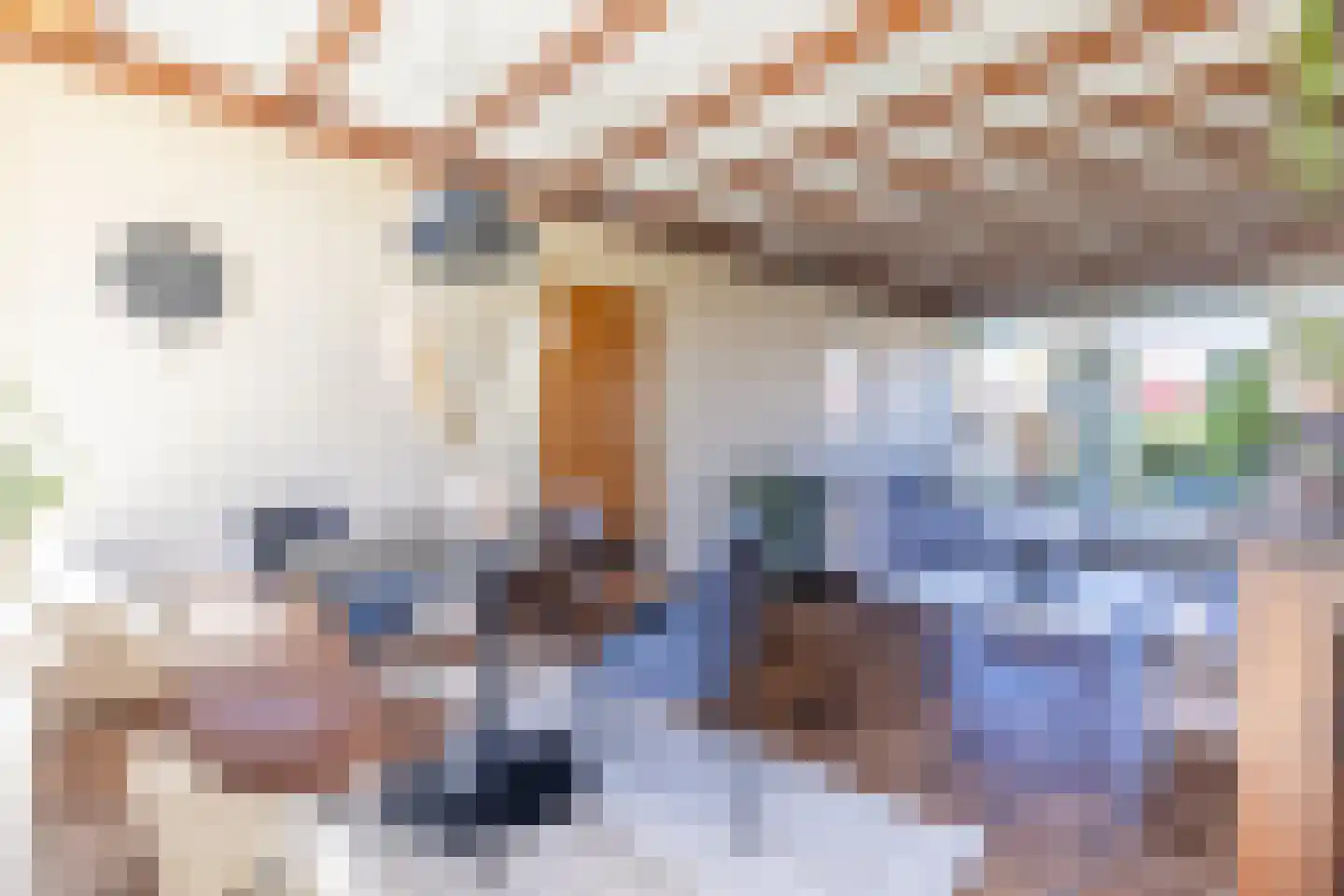 Herman van Halterenstraat 12 Lichtenvoorde thumbnail 6