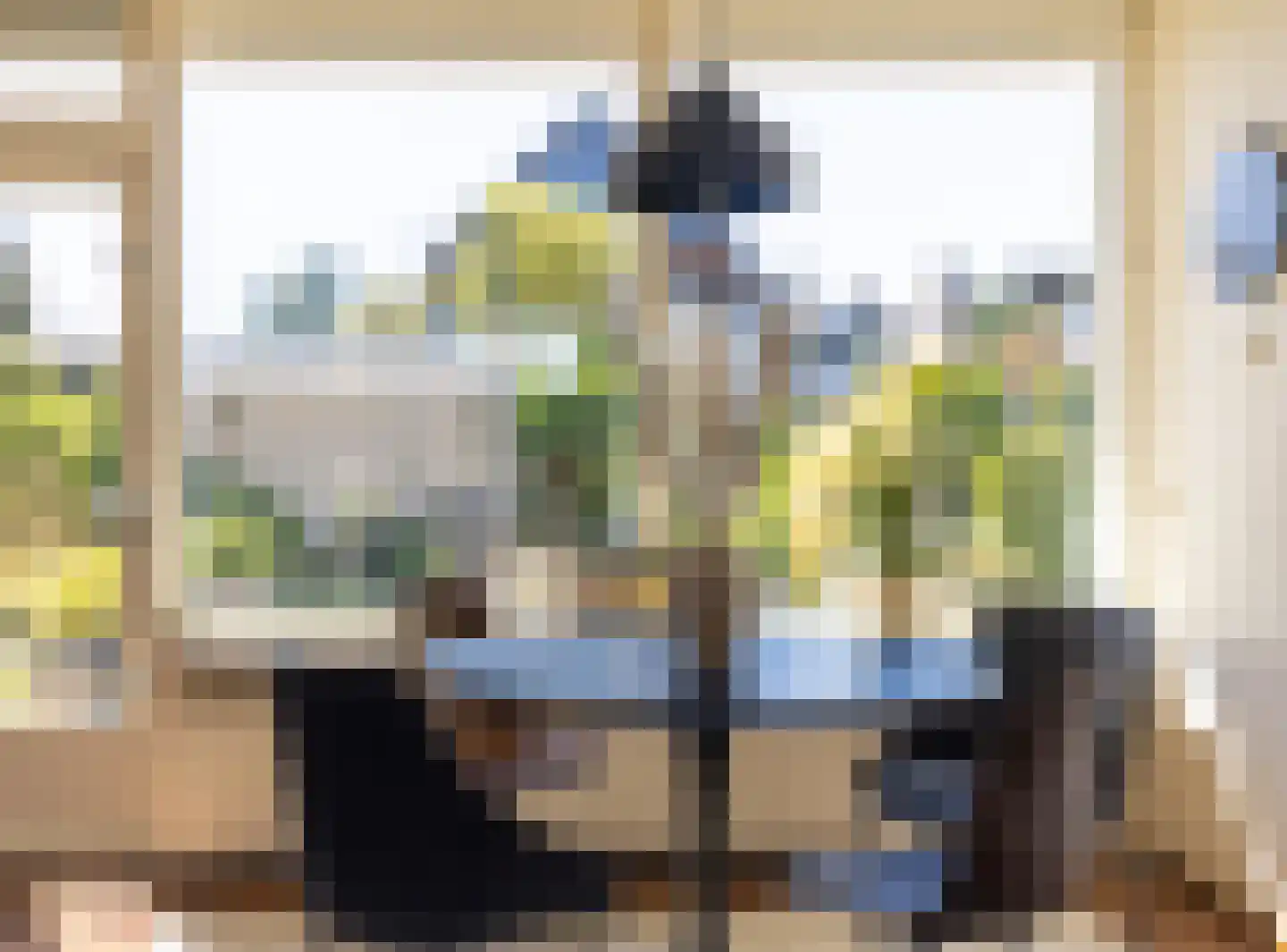 Herman van Halterenstraat 12 Lichtenvoorde thumbnail 8