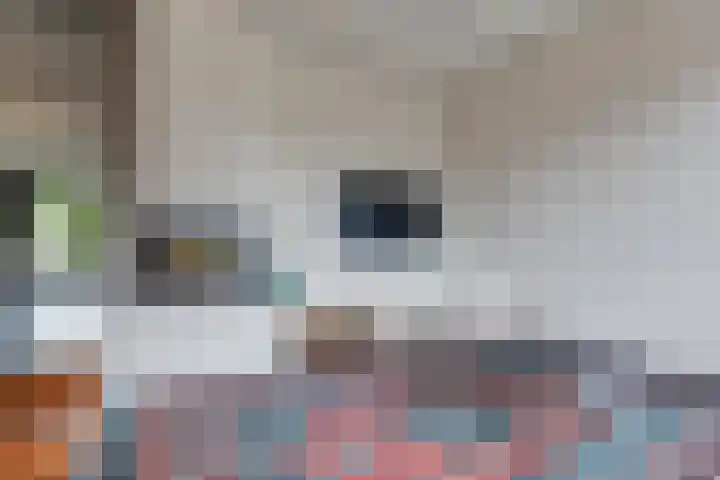 Herman van Halterenstraat 19 Lichtenvoorde thumbnail 14
