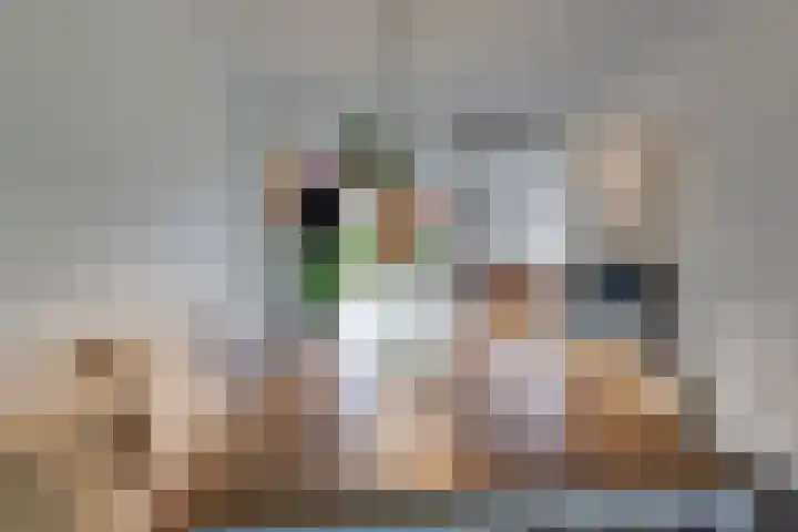 Herman van Halterenstraat 19 Lichtenvoorde thumbnail 17