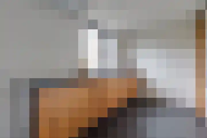 Herman van Halterenstraat 19 Lichtenvoorde thumbnail 21
