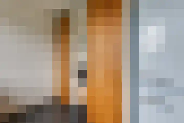 Herman van Halterenstraat 19 Lichtenvoorde thumbnail 22