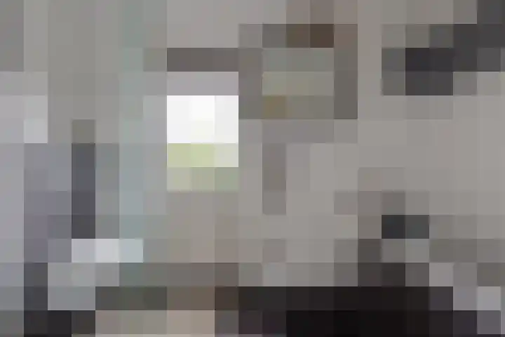 Herman van Halterenstraat 19 Lichtenvoorde thumbnail 37
