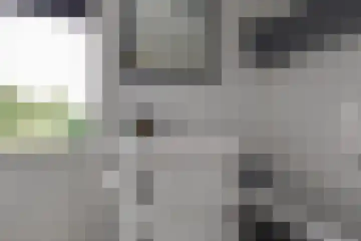 Herman van Halterenstraat 19 Lichtenvoorde thumbnail 38