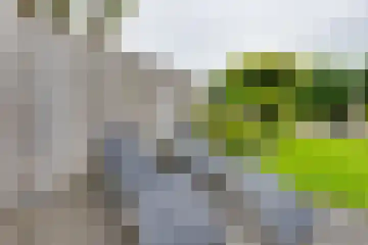 Herman van Halterenstraat 19 Lichtenvoorde thumbnail 49