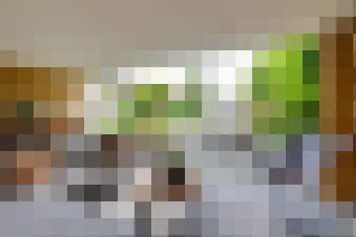 Herman van Halterenstraat 19 Lichtenvoorde thumbnail 5