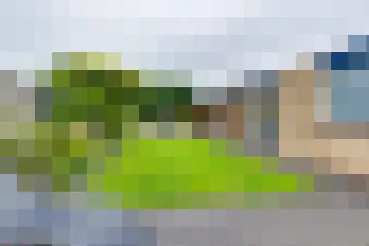 Herman van Halterenstraat 19 Lichtenvoorde thumbnail 50