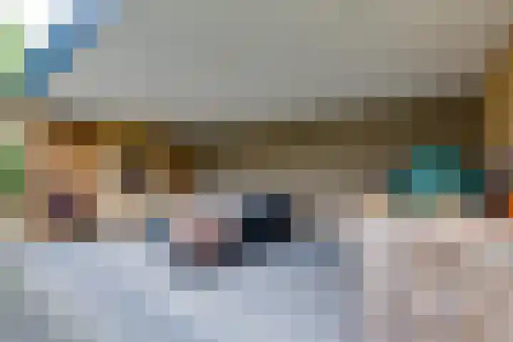Herman van Halterenstraat 19 Lichtenvoorde thumbnail 53