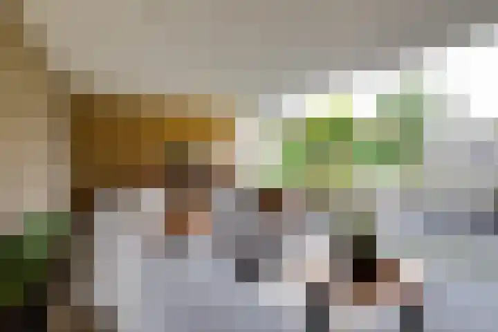 Herman van Halterenstraat 19 Lichtenvoorde thumbnail 55