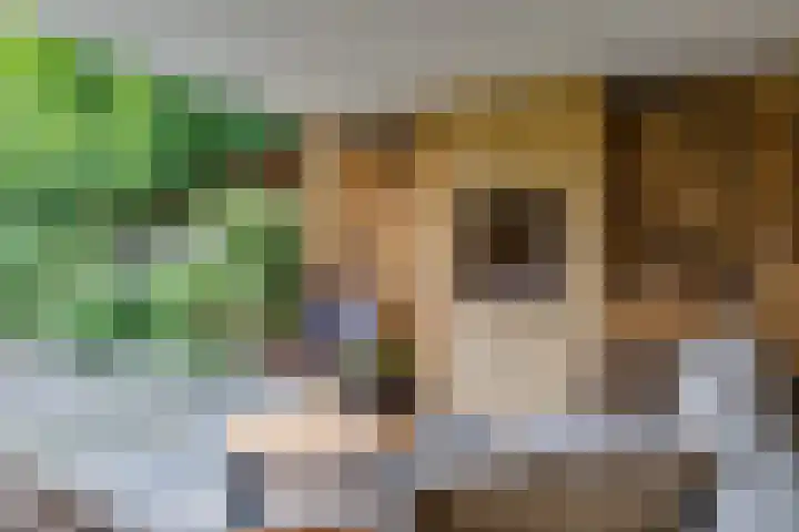 Herman van Halterenstraat 19 Lichtenvoorde thumbnail 57