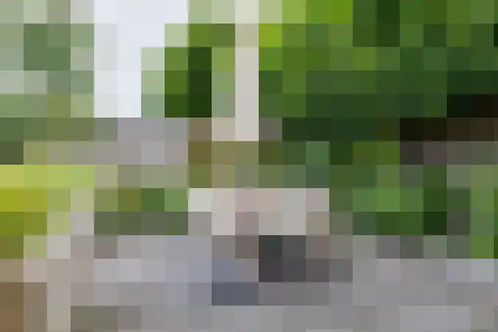 Herman van Halterenstraat 19 Lichtenvoorde thumbnail 58