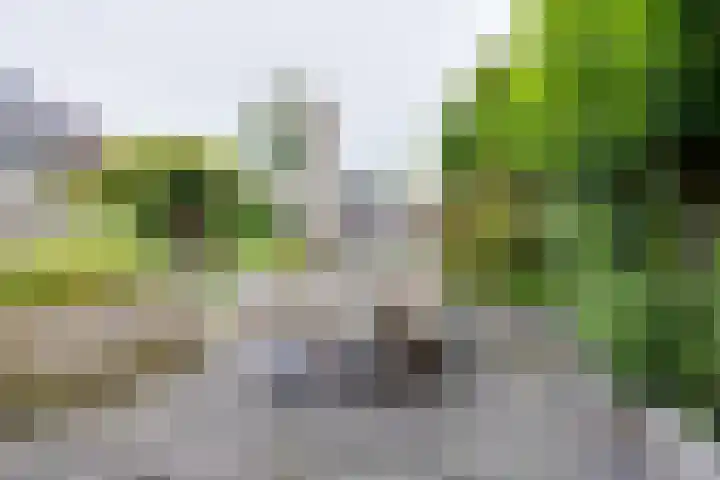 Herman van Halterenstraat 19 Lichtenvoorde thumbnail 59