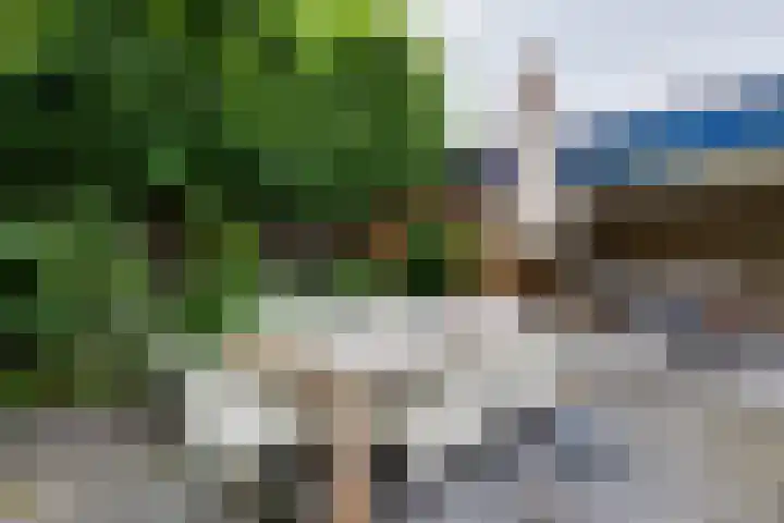 Herman van Halterenstraat 19 Lichtenvoorde thumbnail 61