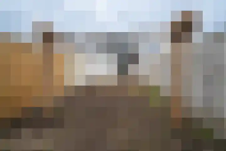 Herman van Hoevellstraat 9 Enschede thumbnail 4