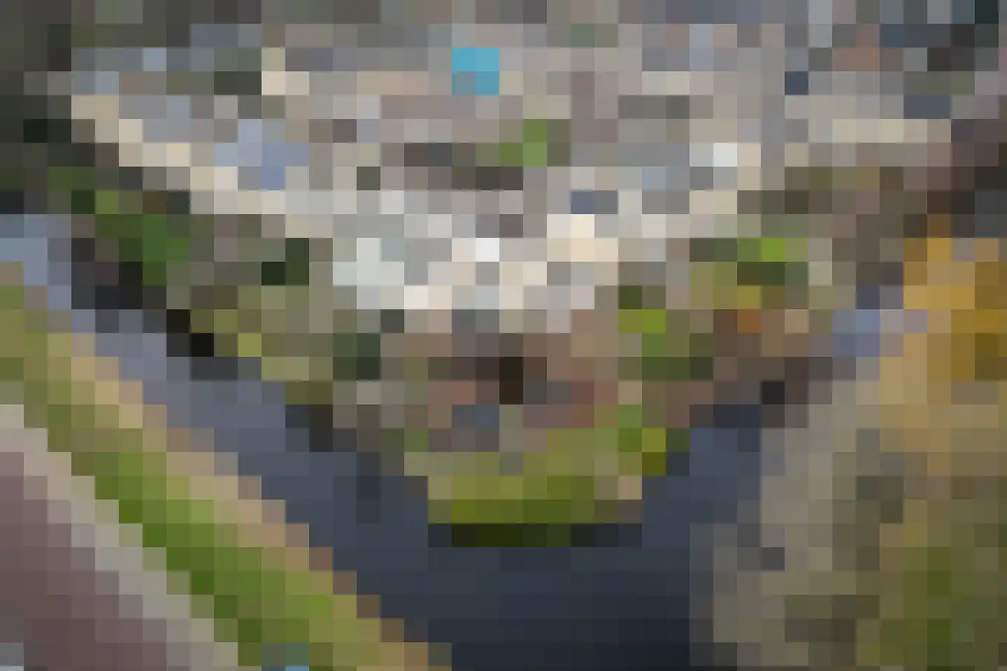 Herman van Swaneveltplein 9 Woerden thumbnail 4