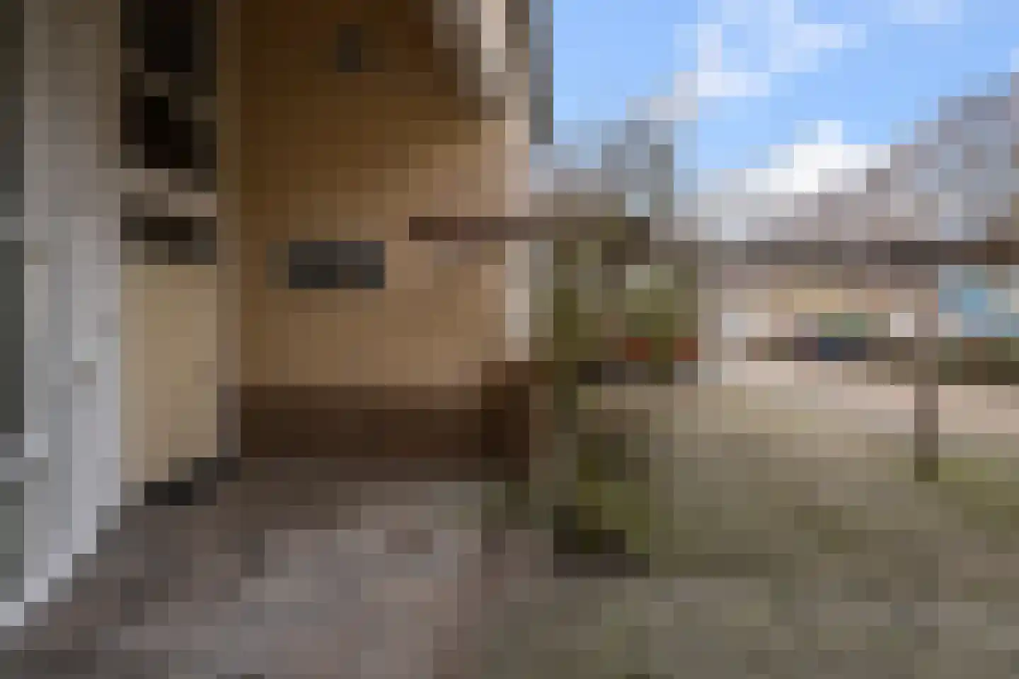 Herman van Swaneveltplein 9 Woerden thumbnail 6
