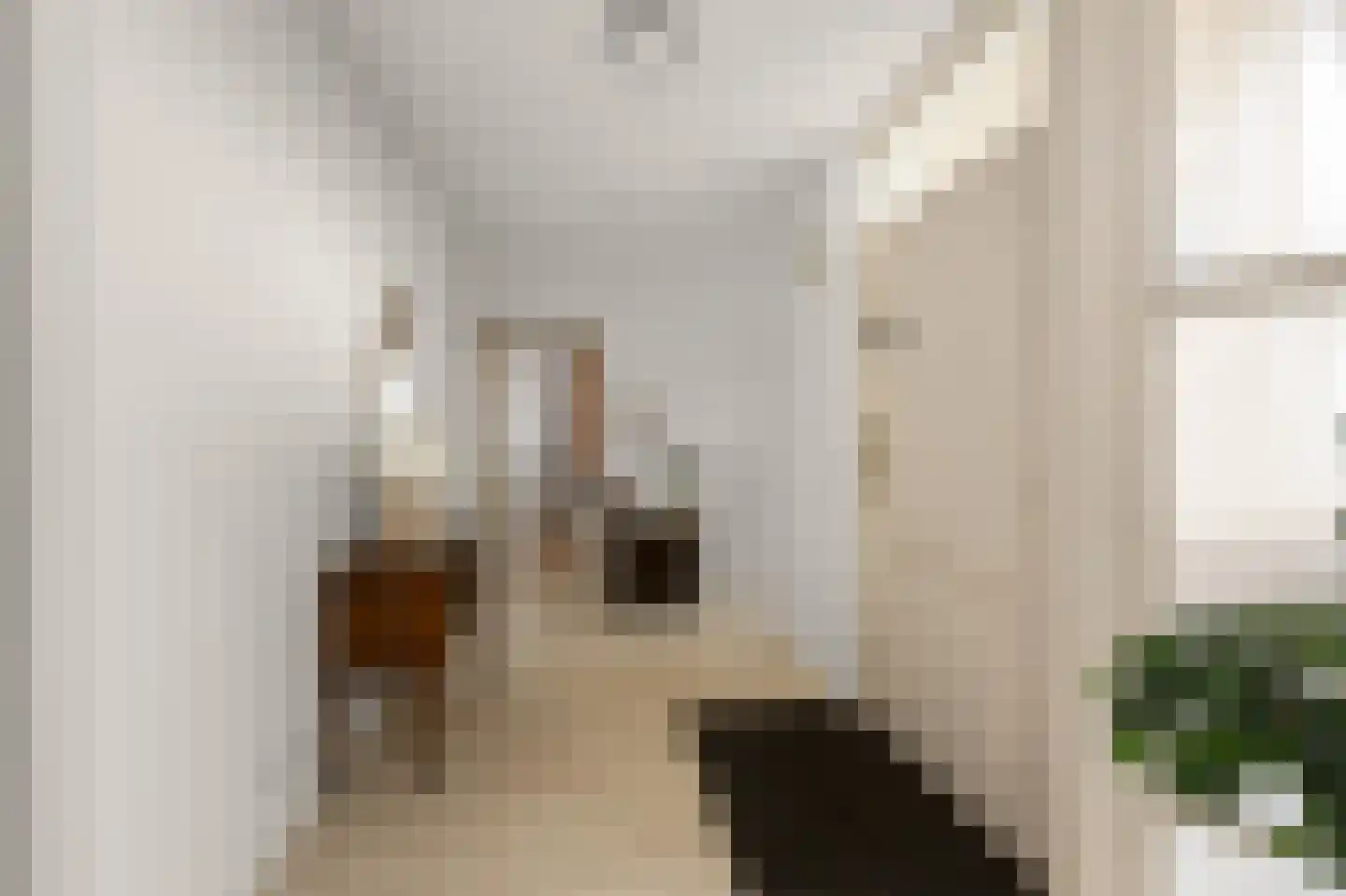 Herman van Swaneveltplein 9 Woerden thumbnail 8