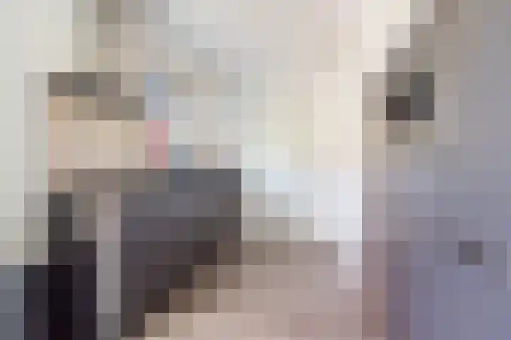 Herman van Velzenstraat 21 Silvolde thumbnail 20