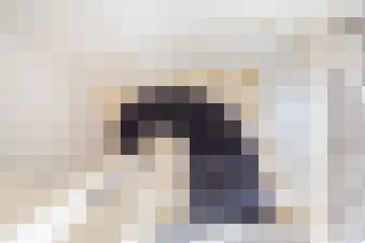 Herman van Velzenstraat 21 Silvolde thumbnail 23