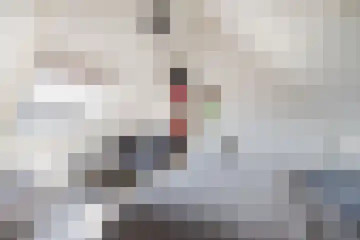 Herman van Velzenstraat 21 Silvolde thumbnail 35