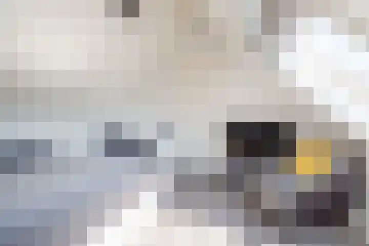 Herman van Velzenstraat 21 Silvolde thumbnail 36