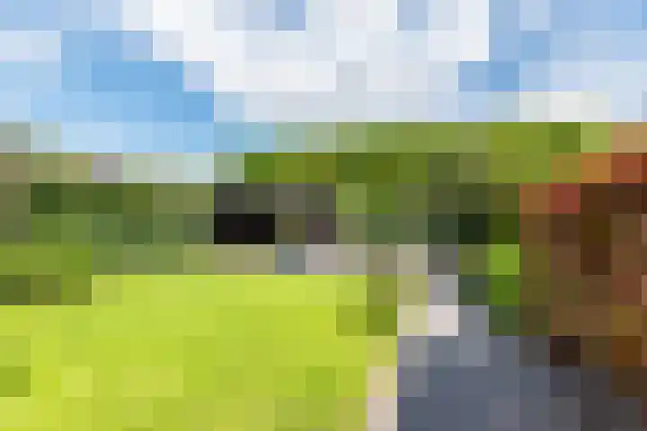 Herman van Velzenstraat 21 Silvolde thumbnail 4
