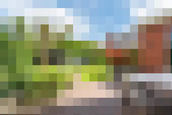 Herman van Velzenstraat 21 Silvolde thumbnail 44
