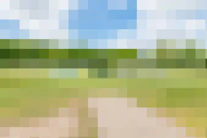 Herman van Velzenstraat 21 Silvolde thumbnail 49