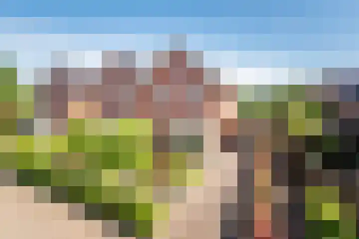 Herman van Velzenstraat 21 Silvolde thumbnail 60