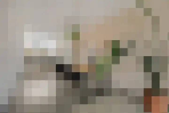 Herman van Velzenstraat 47 Silvolde thumbnail 13