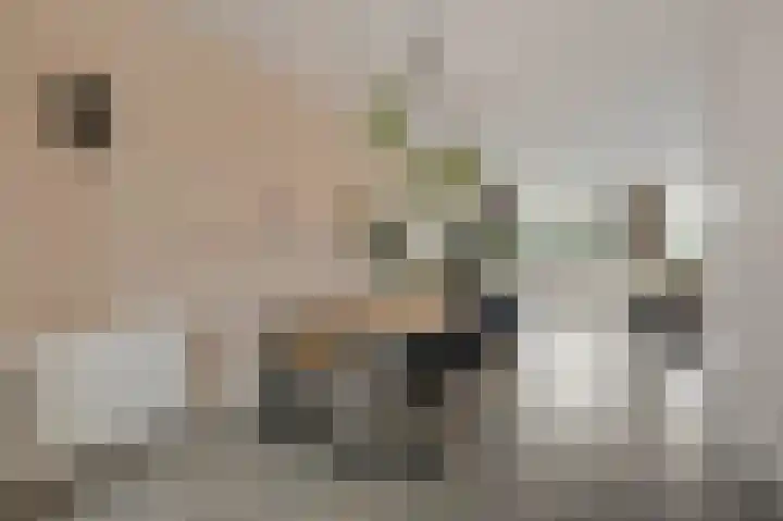 Herman van Velzenstraat 47 Silvolde thumbnail 16